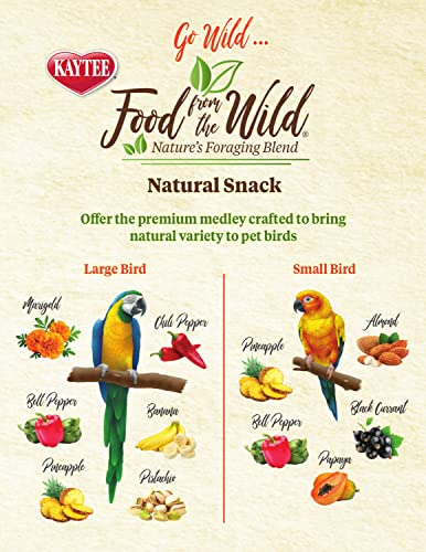 Foto 7 | Bocadillos Para Pájaros Para Mascotas Kaytee Food From The Wild, 90 Ml - Venta Internacional.