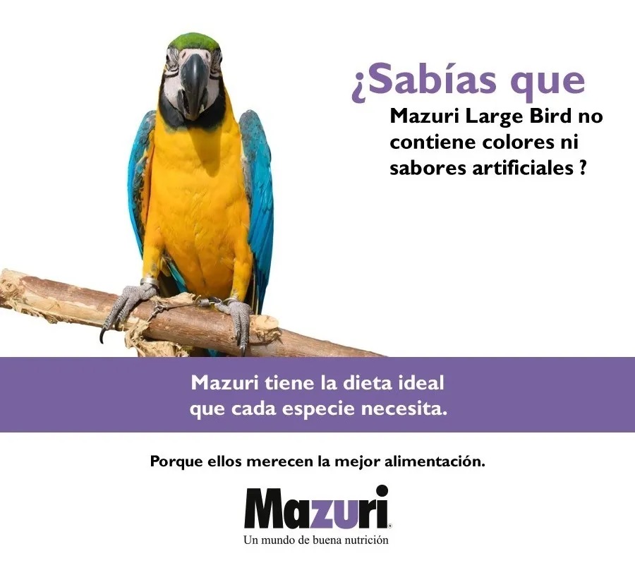 Foto 4 pulgar | Mazuri Large Bird Diet Alimento Para Loro  Guacamaya  Cacatua 11.34 kg (25 lb)