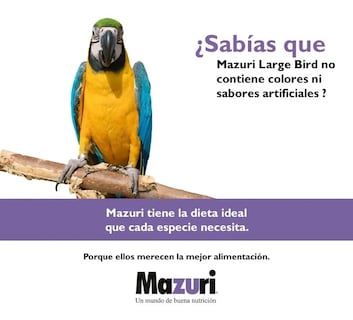 Foto 3 | Mazuri Large Bird Diet Alimento Para Loro Guacamaya Cacatua 11.34 kg (25 lb)