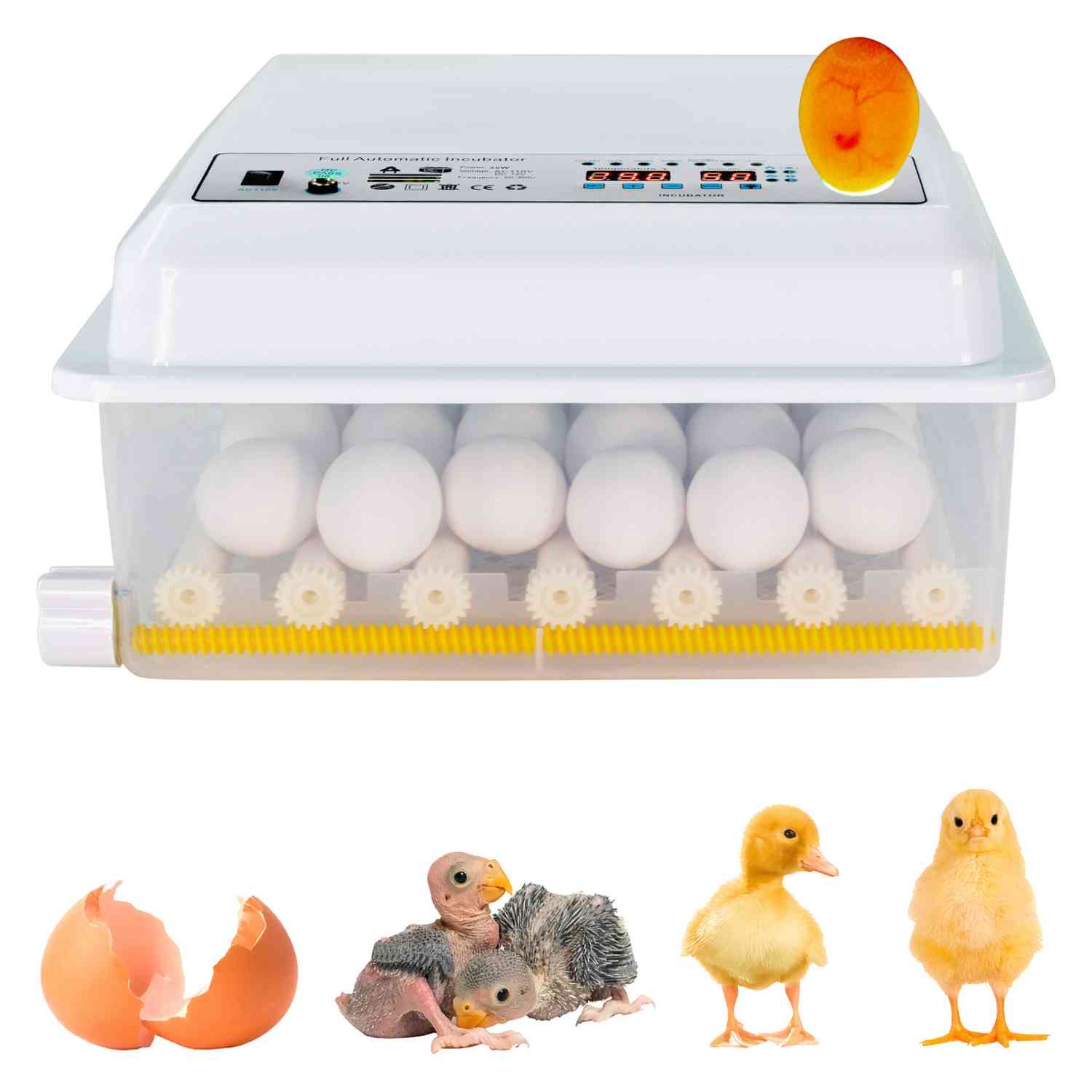 Foto 3 pulgar | Incubadora Automatica 36 Huevos Aves Pollos + Ovoscopio