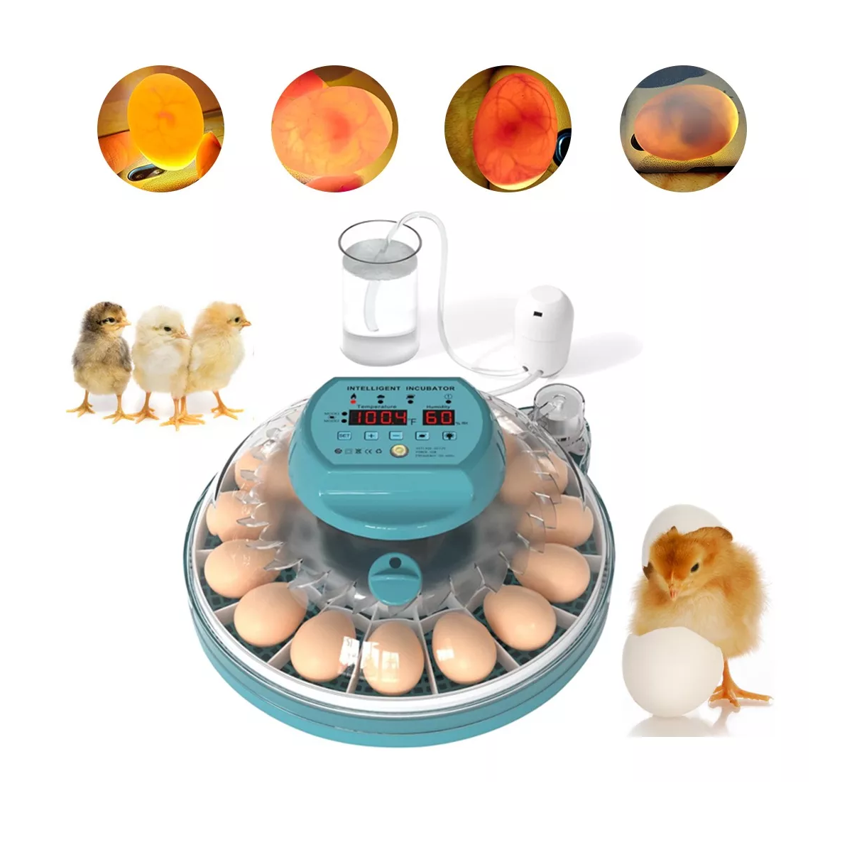 Foto 4 pulgar | Incubadora Automática De Aves De Corral Nacedora 15 Huevos Eo Safe Imports Esi-16268 Multicolor