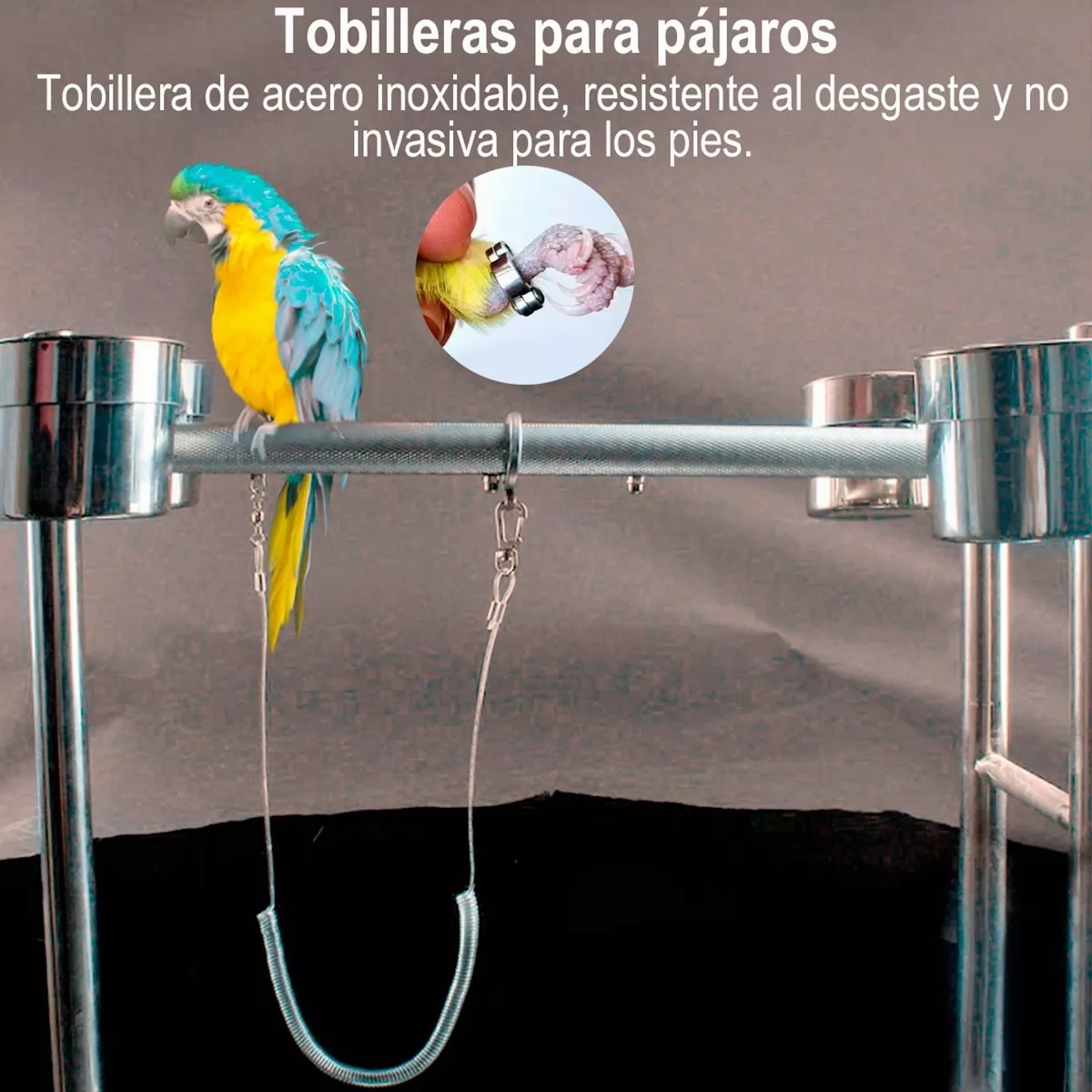 Foto 3 pulgar | Correa Arnés para Aves Eo Safe Imports Esi-9748 6 m Plata