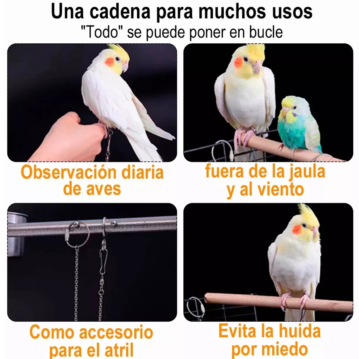 Foto 4 pulgar | Correa Arnés para Aves Eo Safe Imports Esi-9748 6 m Plata