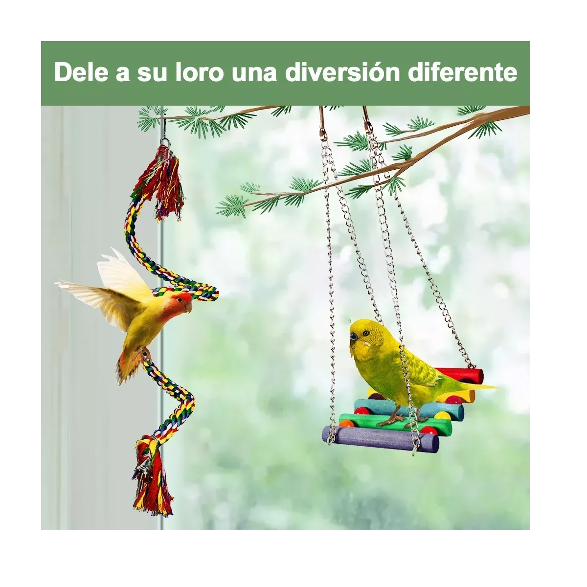 Foto 4 pulgar | Juguete para Aves 9 Piezas Eo Safe Imports Esi-9747 Multicolor