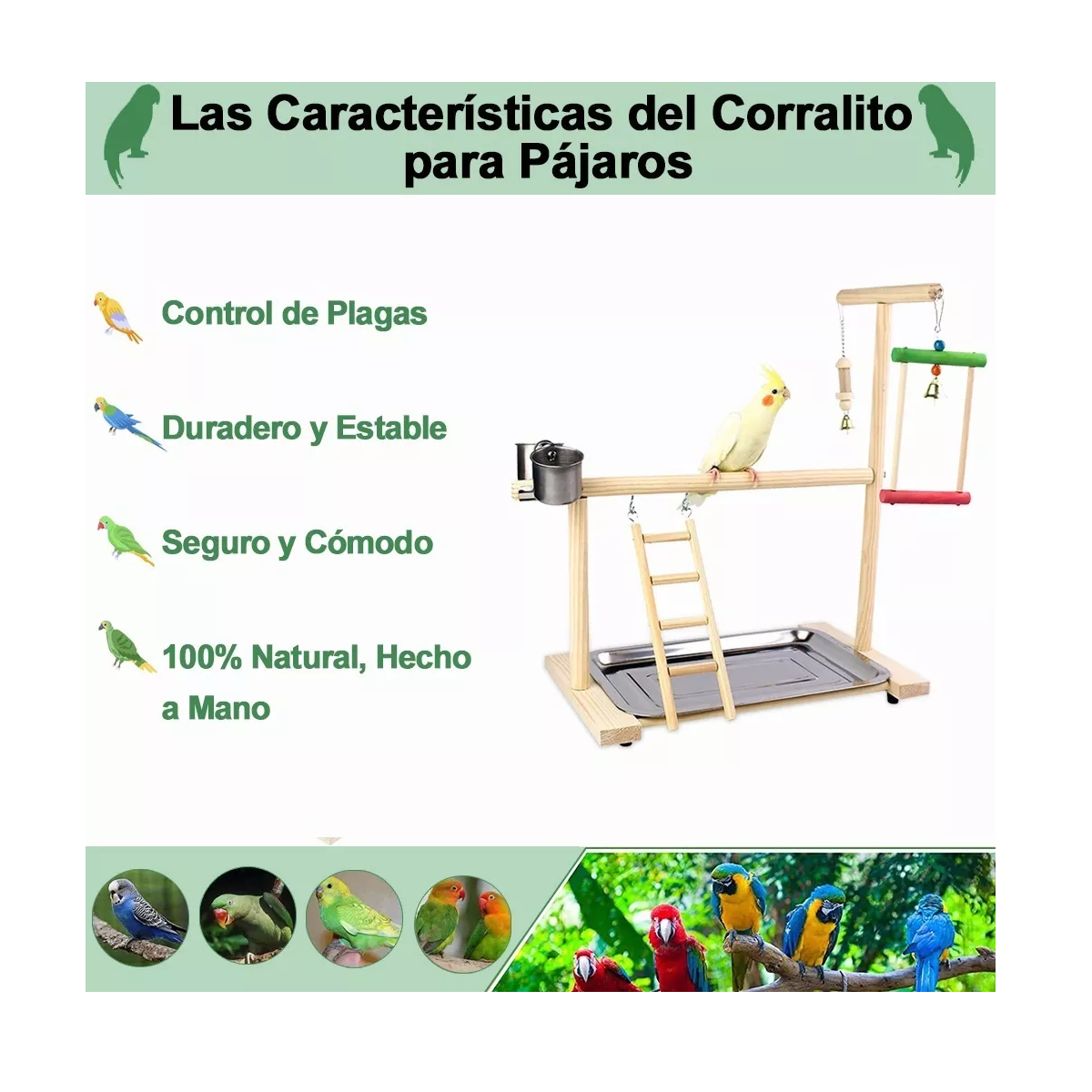 Foto 4 pulgar | Jaula para Pájaros de Patio de Juegos con Escalera Eo Safe Imports Esi-9749 Multicolor