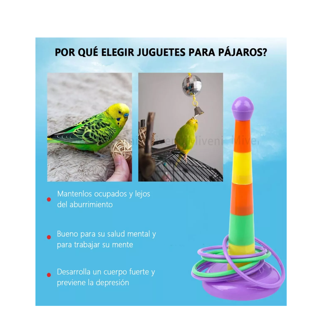 Foto 4 pulgar | Juguetes de Entrenamiento Lab.G 7 Piezas para Aves