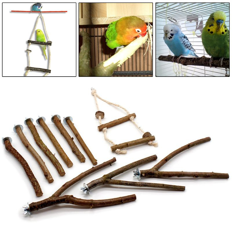 Foto 4 pulgar | Parrot Stand Toys Sanlin Beans, Madera Natural, Juego De 10 Piezas - Venta Internacional.
