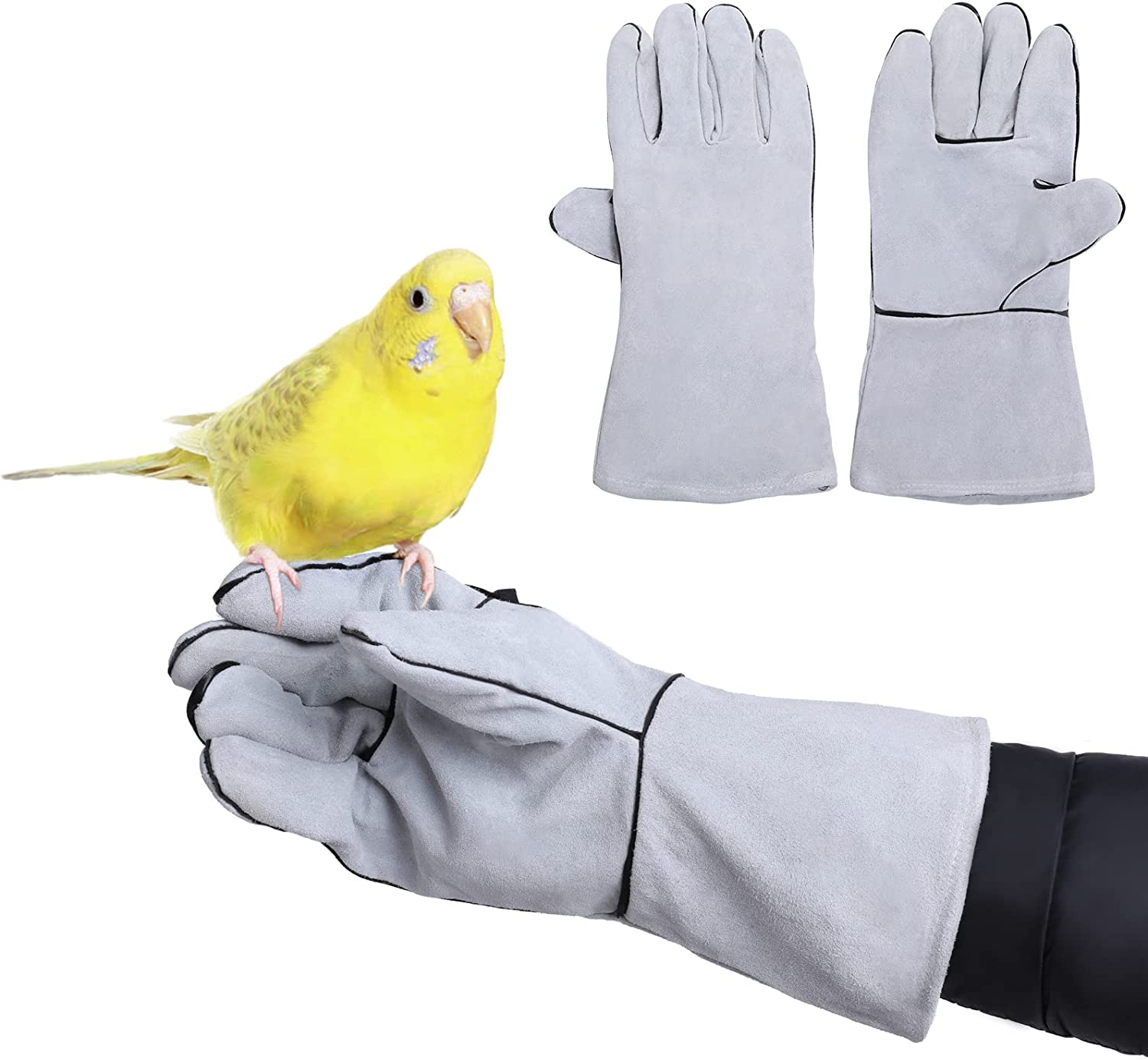 Foto 2 pulgar | Guantes Antiarañazos Y Mordeduras Para Entrenamiento De Aves Para Periquitos Cocka - Venta Internacional.