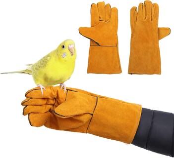 Foto 3 | Guantes Antiarañazos Y Mordeduras Para Entrenamiento De Aves Para Periquitos Cocka - Venta Internacional.