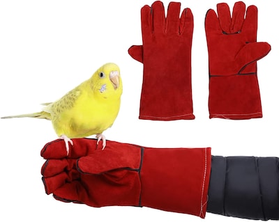 Foto 3 | Guantes Antiarañazos Y Mordeduras Para Entrenamiento De Aves Para Periquitos Cocka - Venta Internacional.