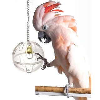 Foto 1 | Cuerda Para Pájaros Huoguo Para Pájaros Trenzada De Acero Inoxidable, 50 Cm - Venta Internacional.
