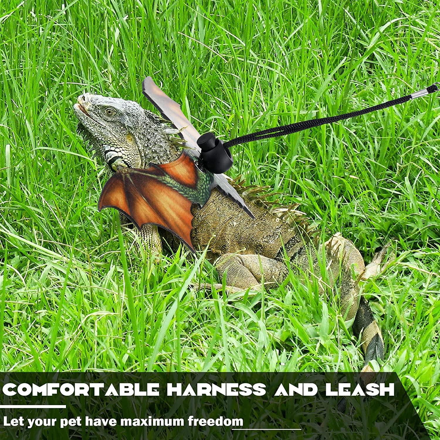Foto 4 | Arnés Con Correa De Lagarto Para Lagarto Dragón Barbudo - Jieyou - Venta Internacional.