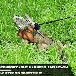 Foto 4 | Arnés Con Correa De Lagarto Para Lagarto Dragón Barbudo - Jieyou - Venta Internacional.