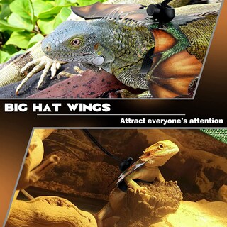 Foto 5 | Arnés Con Correa De Lagarto Para Lagarto Dragón Barbudo - Jieyou - Venta Internacional.