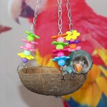 Juguete Bird Cage Bird Baths Para Mascotas, Loro, Concha De Coco - Venta Internacional.