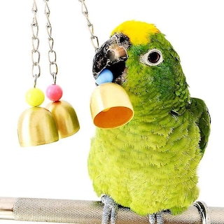 Foto 3 | Juego De Juguetes Para Pájaros De 7 Piezas Para Loros Y Accesorios Para Pájaros - Venta Internacional.