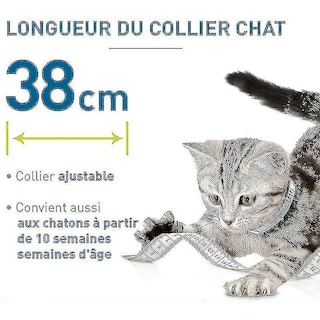 Foto 5 | Collar Para Gatos Antipulgas Y Garrapatas Para 8 Meses, Paquete De 2 Unidades Sara - Venta Internacional.