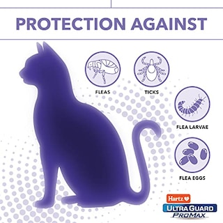 Foto 5 | Collar Contra Pulgas Y Garrapatas Hartz Ultraguard Promax Para Gatos 2 - Venta Internacional.