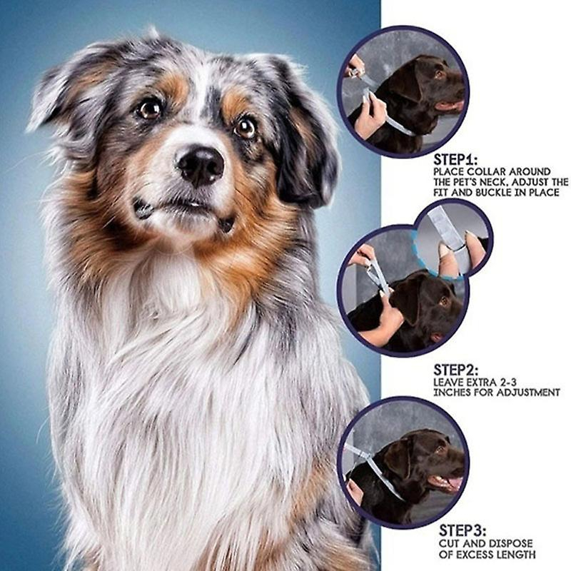 Foto 4 pulgar | Collar Antiparasitario Para Mascotas, Pulgas Y Garrapatas De Gatos Y Perros, 70 Cm - Venta Internacional.