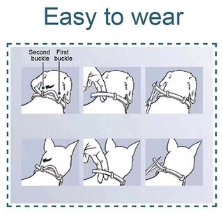Foto 4 | Collar Antiparasitario Para Mascotas, Pulgas Y Garrapatas De Gatos Y Perros, 70 Cm - Venta Internacional.