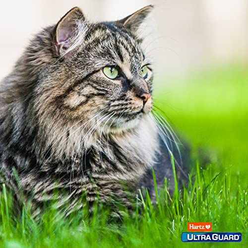 Foto 8 pulgar | Prevención De Pulgas Y Garrapatas Hartz Ultraguard Pro Para Gatos Durante 3 Meses - Venta Internacional.
