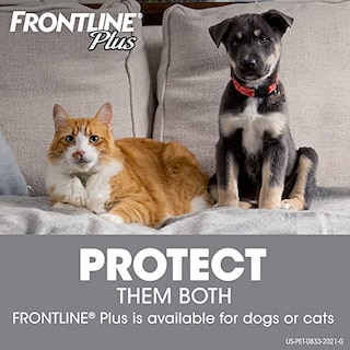 Foto 7 | Tratamiento Para Pulgas Y Garrapatas Frontline Plus Para Gat - Venta Internacional.