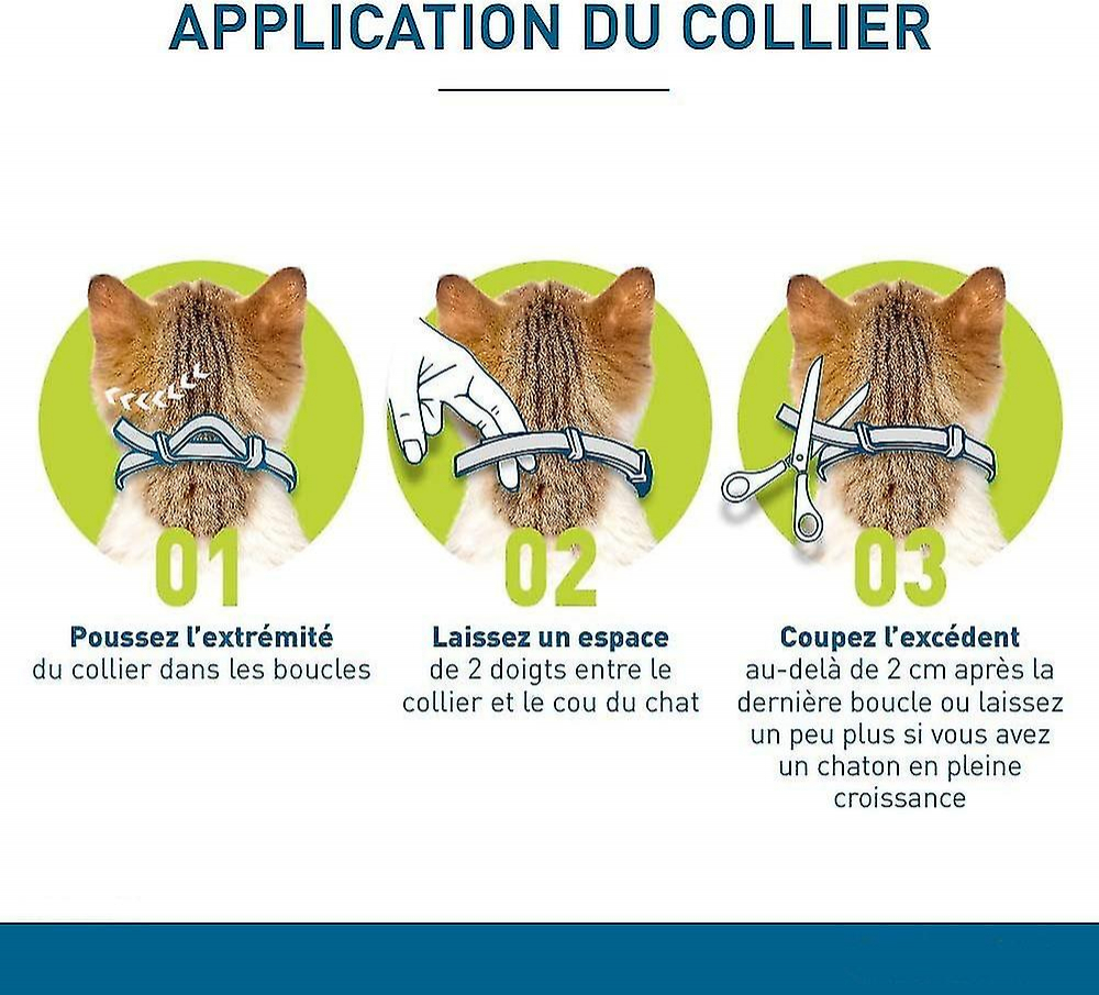 Foto 4 pulgar | Collar Antipulgas Y Garrapatas Para Gatos Sarah, Protección De 8 Meses (paquete De 2) - Venta Internacional.