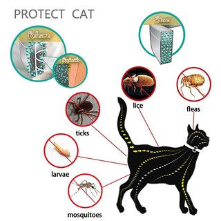 Foto 4 | Collar Antipulgas Y Garrapatas Para Perros Y Gatos De Hasta 8 Meses - Venta Internacional.
