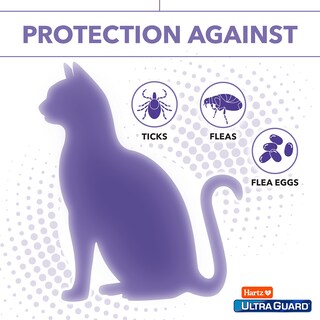 Foto 3 | Spray Para Pulgas Y Garrapatas Hartz Ultraguard Plus Para Gatos, 240 Ml - Venta Internacional.