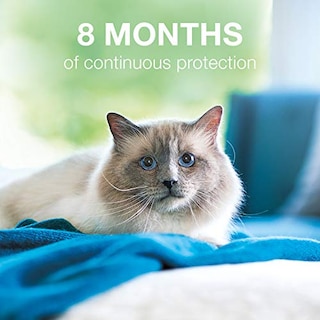 Foto 5 | Collar Antipulgas Y Garrapatas De 8 Meses Para Gatos Seresto Paquete De 2 - Venta Internacional.