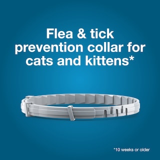 Foto 2 | Collar Seresto Cat Para Tratamiento De Pulgas Y Garrapatas 8 Meses De Protección - Venta Internacional.