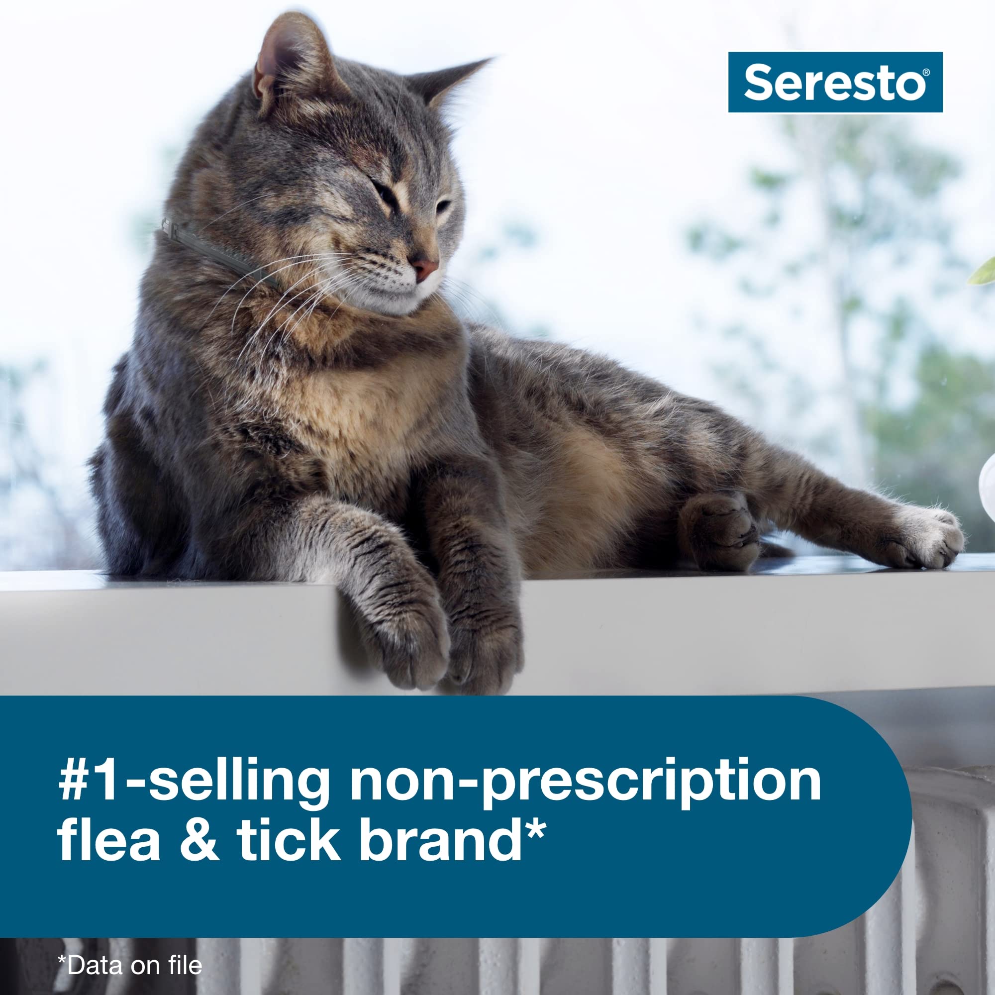Foto 3 | Collar Seresto Cat Para Tratamiento De Pulgas Y Garrapatas  8 Meses De Protección - Venta Internacional.