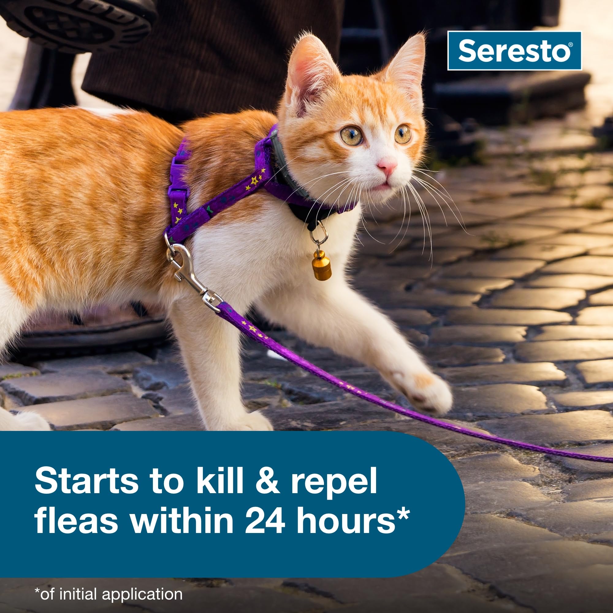 Foto 6 | Collar Seresto Cat Para Tratamiento De Pulgas Y Garrapatas  8 Meses De Protección - Venta Internacional.