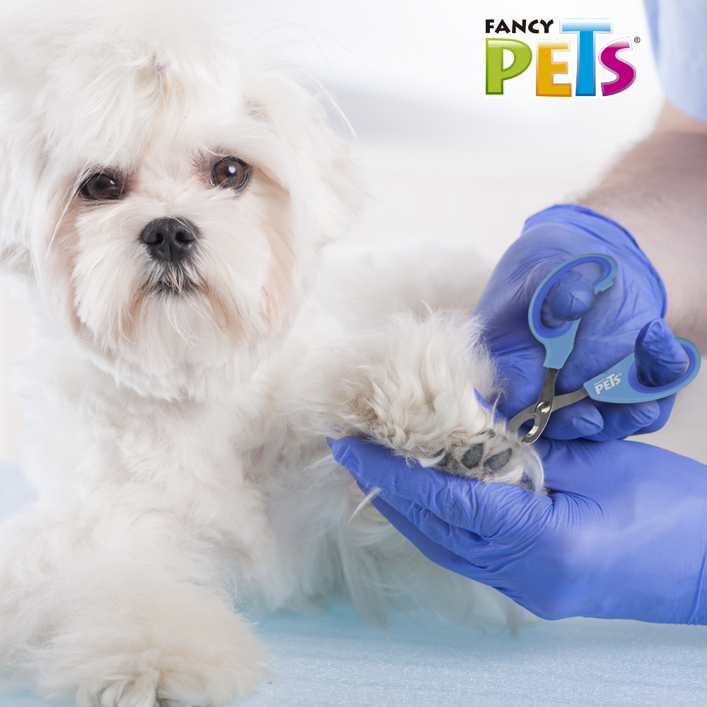Foto 4 | Tijera Cortauñas para Gato Tamaño Grande Fancy Pets