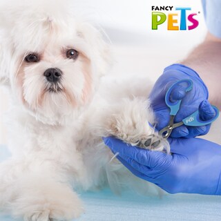 Foto 4 | Tijera Cortauñas para Gato Tamaño Grande Fancy Pets