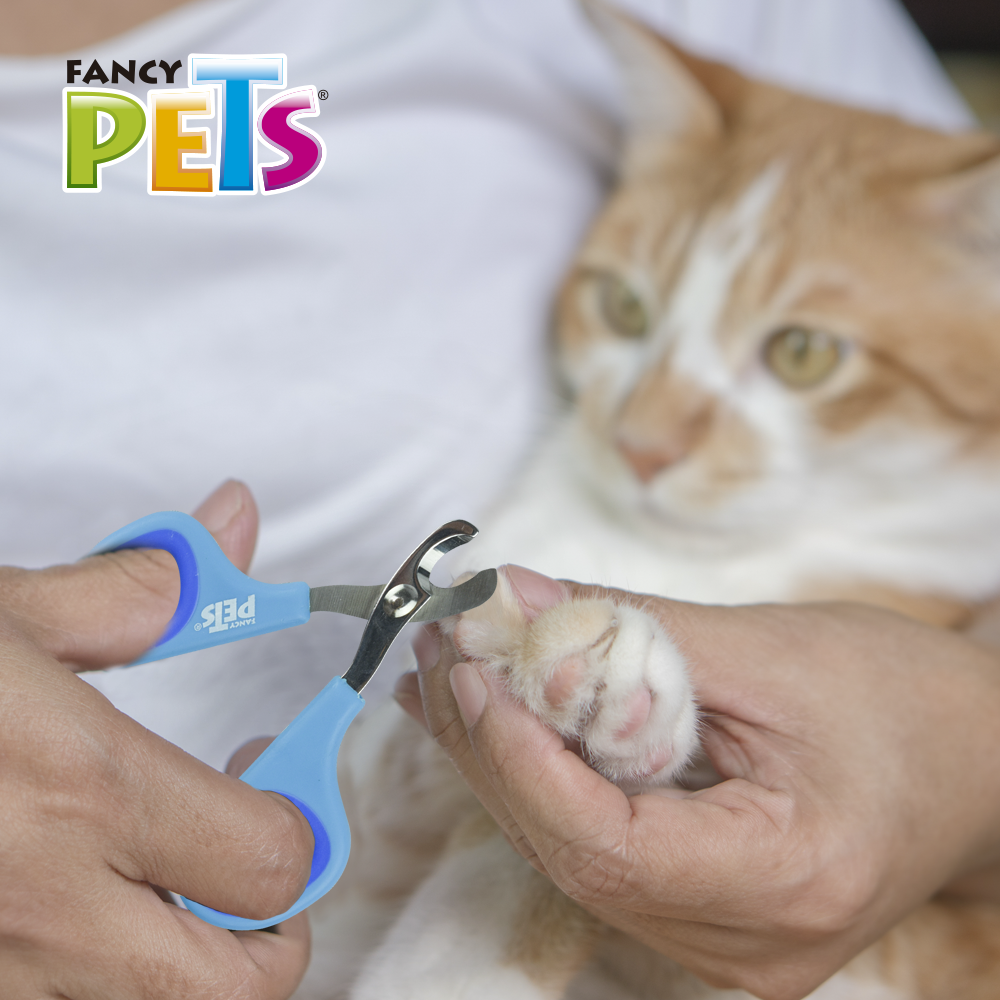 Foto 5 pulgar | Fancy Pets Tijera Cortauñas Para Gato Chico Con Mango Antideslizante