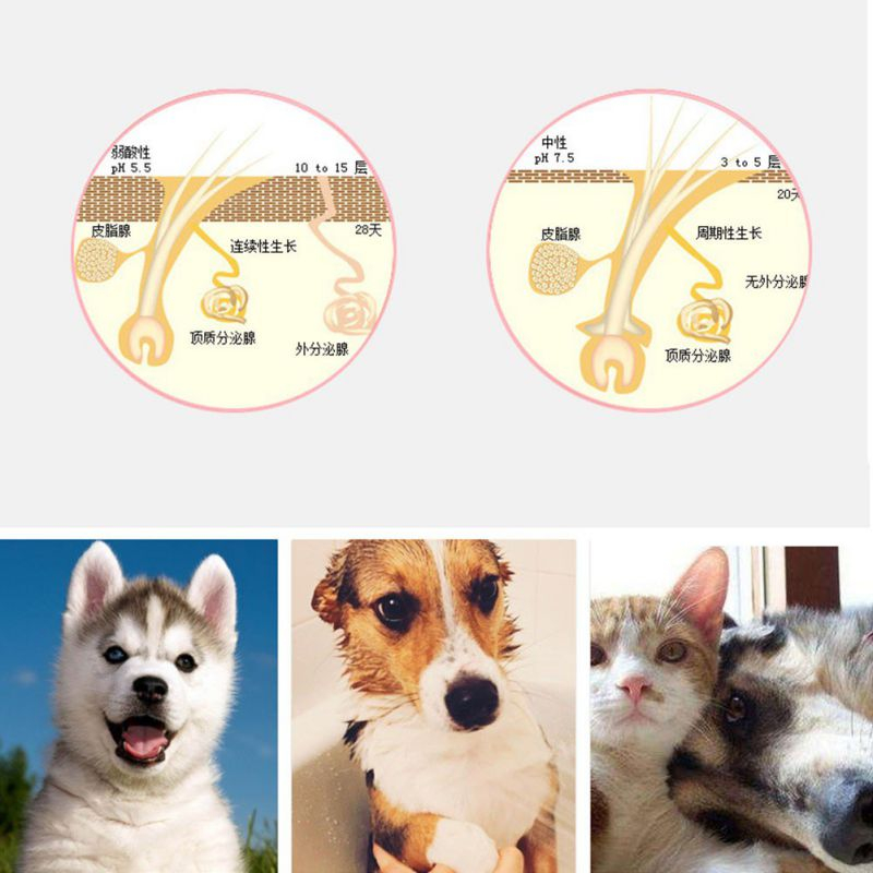 Foto 4 pulgar | Peineta Para Perros Sanlin Beans De Doble Cara Con Mango Para Depilación - Venta Internacional.