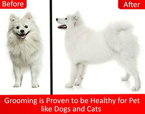 Foto 5 | Mr. Peanut's Grooming Glove Brush And Deshedding Aid - Mascota - Venta Internacional.