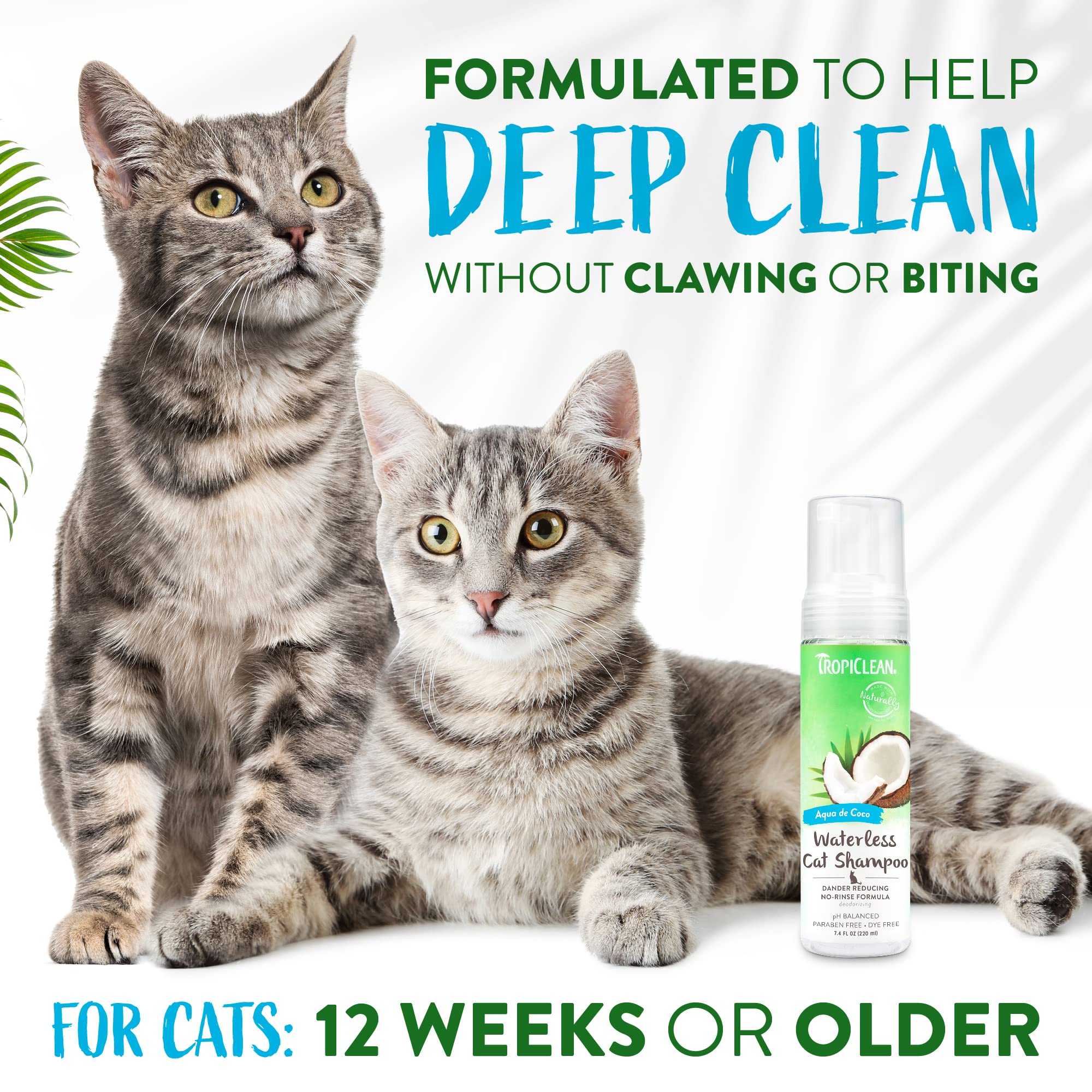 Foto 5 pulgar | Champú Sin Agua Para Gatos Tropiclean Aqua De Coco 220 Ml - Venta Internacional.