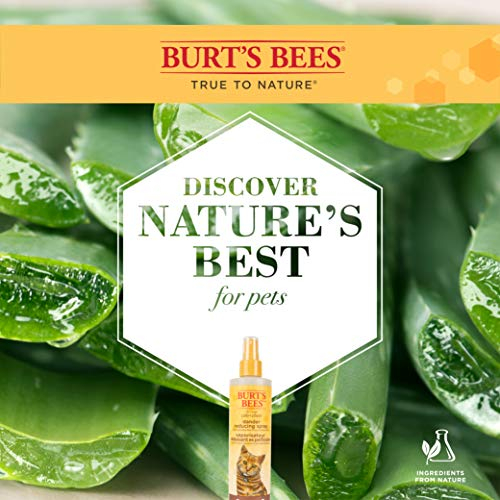 Foto 5 | Spray Reductor De Caspa Burt's Bees Para Gatos, 300 Ml - Venta Internacional.
