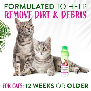 Foto 4 | Champú Para Gatos Tropiclean, Limpieza Profunda Con Bayas Y Coco, 355 Ml - Venta Internacional.