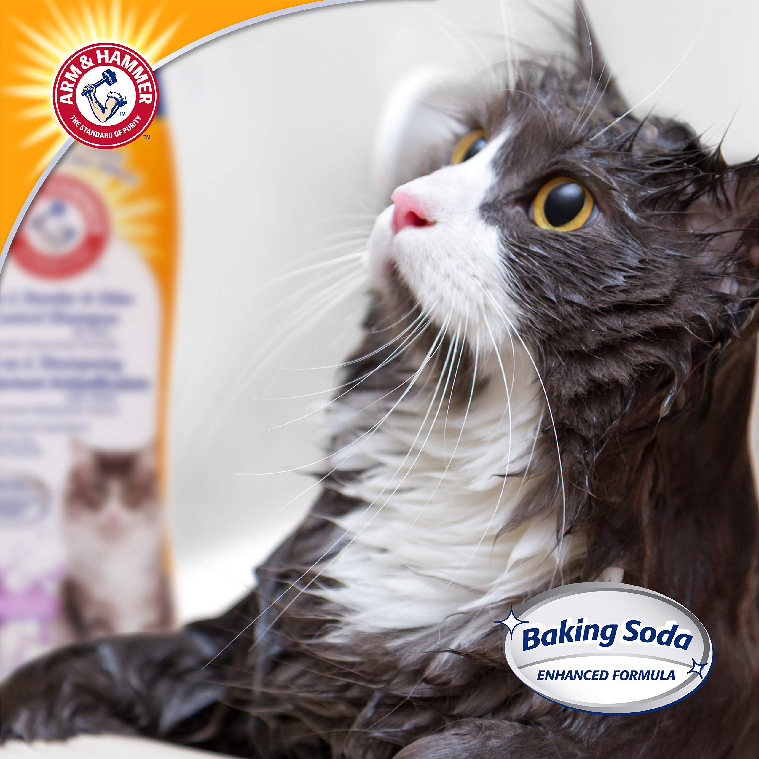 Foto 4 | Champú Arm & Hammer 2 En 1, Desodorizante Y Reductor De Caspa, 590 Ml - Venta Internacional.