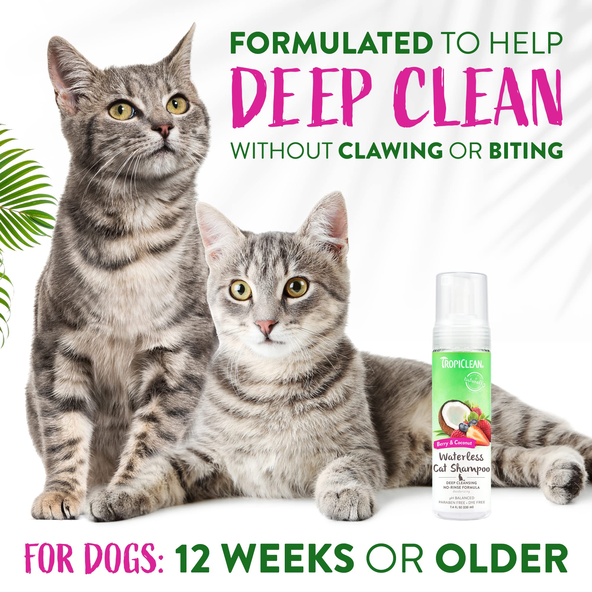 Foto 5 pulgar | Champú Sin Agua Para Gatos Tropiclean Berry Coconut, 220 Ml, Ee. Uu. - Venta Internacional.