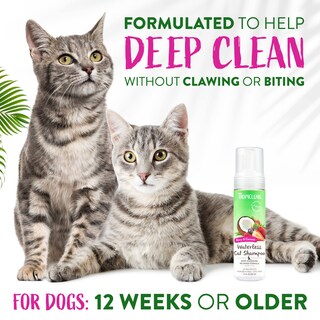 Foto 4 | Champú Sin Agua Para Gatos Tropiclean Berry Coconut, 220 Ml, Ee. Uu. - Venta Internacional.