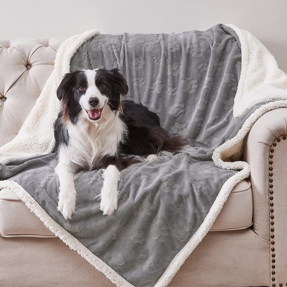 Foto 1 | Manta Impermeable Para Mascotas Qeils Para Perros Y Gatos De Tamaño Mediano - Venta Internacional.