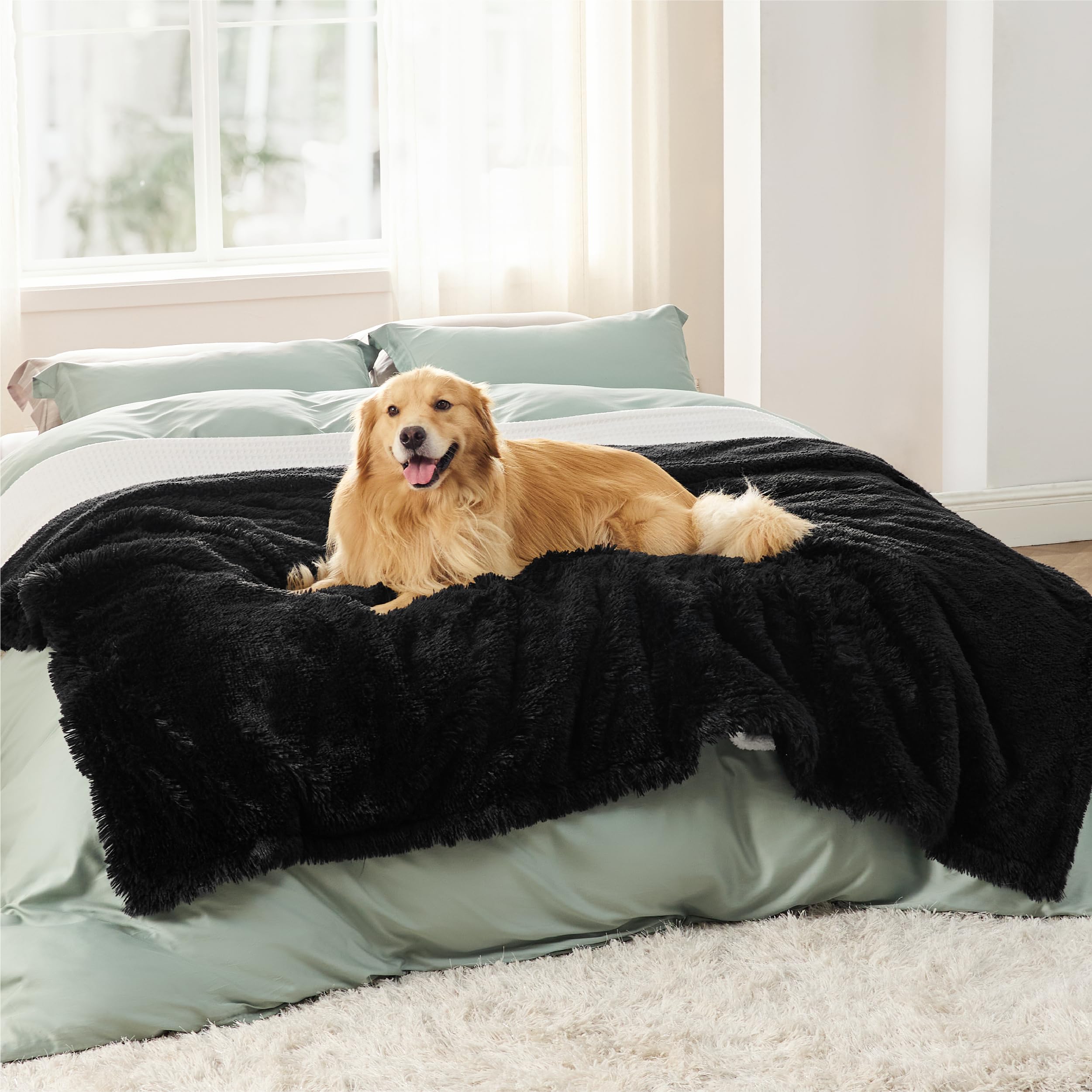 Foto 1 | Manta Impermeable Para Perros Grandes, 150 X 200 Cm, Color Negro - Venta Internacional.