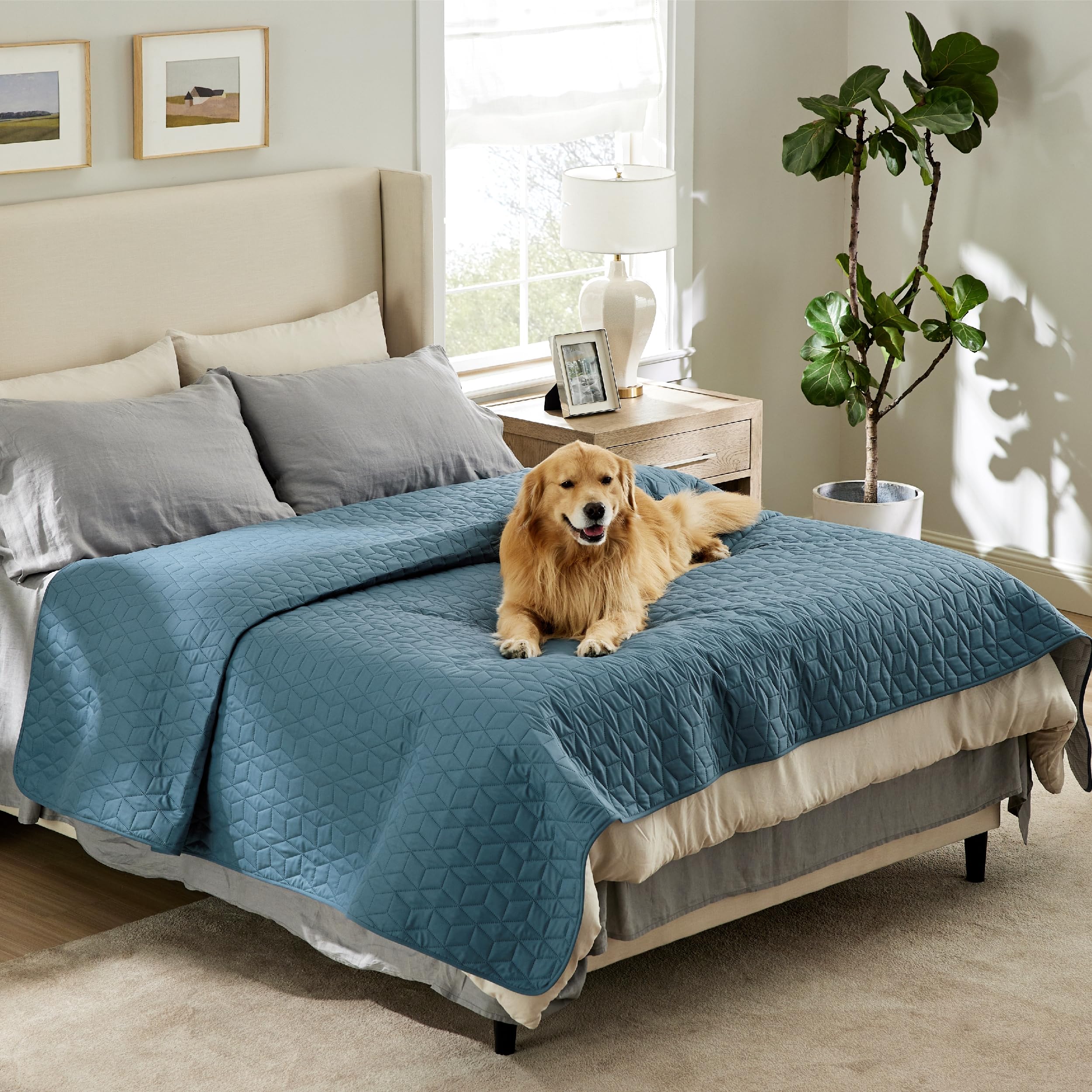Funda De Cama Impermeable Para Perros Bedsure Azul 210x260 Cm - Venta Internacional.