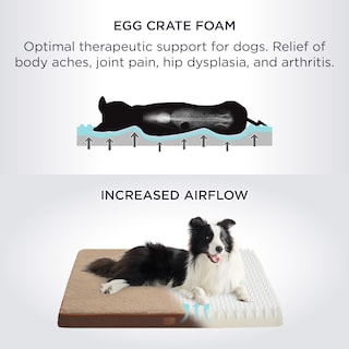 Foto 3 | Cama Ortopédica Grande Para Perros Con Funda Extraíble Y Lavable - Venta Internacional.