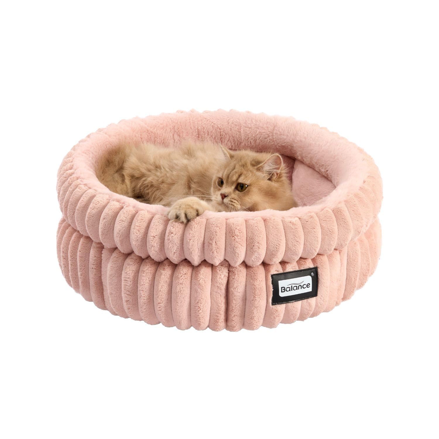Cama Para Gatos Balance Kitten, Lavable, Redonda, Supersuave - Venta Internacional.