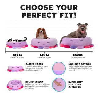 Foto 2 | Cama Para Mascotas Squishmallows Original Tatiana The Dragon 50 Cm - Venta Internacional.